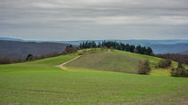 Taunus bei Presberg von Erhard Hess