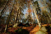 Farben des Herbstes von Reinhard Kepplinger