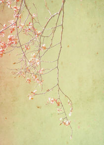 Pink Branch von artskratches