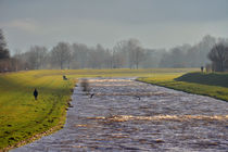 Emmendingen an der Elz bei Wasser by Ingo Laue