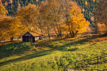 Herbstlandschaft by Simone Rein