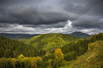 Herbstlandschaft von Simone Rein