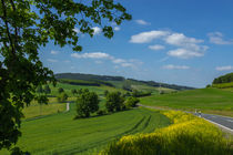 Hochsauerland by Simone Rein