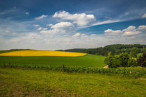 Sauerland von Simone Rein