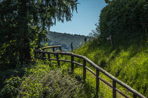 Hochsauerland von Simone Rein