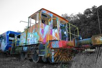 Graffiti Train by Susanne  Mauz