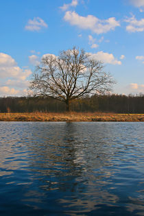 Unruhiges Wasser by Bernhard Kaiser