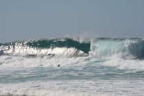 Banzai Pipeline  by Susanne  Mauz