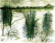 Winterlandschaft von Irina Usova