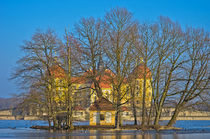 Winterliches Schloss Moritzburg bei Dresden von ullrichg