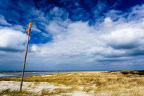 Dünenlandschaft auf Langeoog von sven-fuchs-fotografie