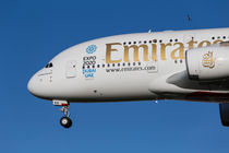 Emirates A380 Airbus And Pigeon by David Pyatt