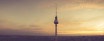 Panorama Berliner Fernsehturm von Franziska Mohr