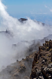 Nebel im Gebirge auf La Palma von monarch