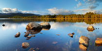 Still lake in early morning light, Loch Morlich, Cairngorms, Scotland by Sara Winter