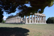 Greco Roman Temple At Paestum by Malcolm Snook