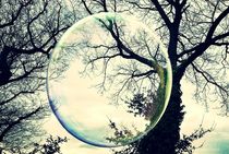 Bubble vs Tree von Susanne  Mauz