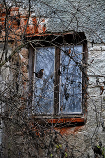 View of an old house - The birds by Chris Berger