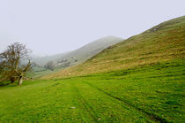 Bunster Hill Footpath at Ilam von Rod Johnson