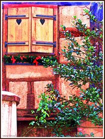 ~Christmas thistle Wood Shutters~ by Sandra  Vollmann