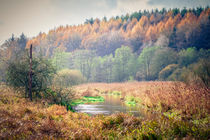 Die Eider im Herbst by Peter Eggermann