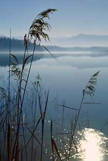 Osterseen - Bayern von Peter Bergmann