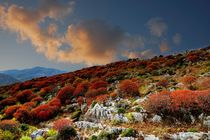 On the hills of the island of Folegandros. Greece von Yuri Hope
