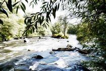 Am reißenden Fluss von Sonja Teßen