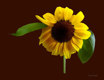 Golden Sunflower von Susan Savad