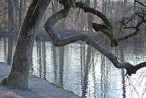 Englischer Garten... 15 von loewenherz-artwork