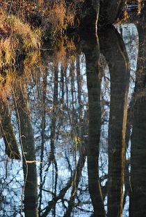 Englischer Garten... 16 von loewenherz-artwork