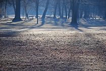 Englischer Garten... 34 by loewenherz-artwork