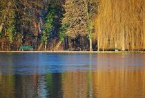 Englischer Garten... 44 by loewenherz-artwork