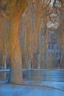 Englischer Garten... 38 von loewenherz-artwork