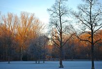 Englischer Garten... 35 von loewenherz-artwork