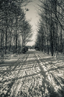 Winter way I by Roland Hemmpel