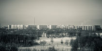 Blick über den Park am Silbersee, Leipzig Lößnig by Roland Hemmpel