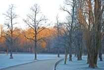 Englischer Garten... 70 von loewenherz-artwork