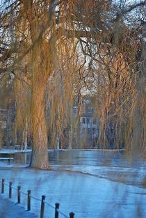 Englischer Garten... 67 von loewenherz-artwork