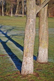 Englischer Garten... 80 von loewenherz-artwork