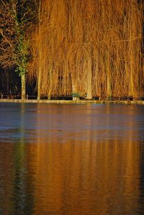 Englischer Garten... 81 von loewenherz-artwork