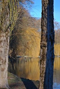 Englischer Garten... 95 von loewenherz-artwork