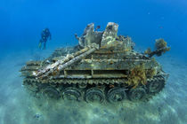 The Tank von Norbert Probst