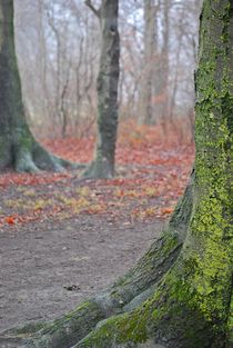 Englischer Garten... 153 von loewenherz-artwork