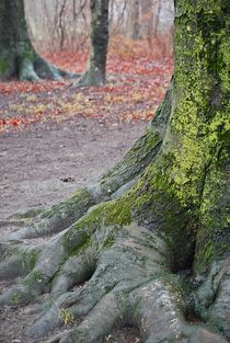 Englischer Garten... 112 by loewenherz-artwork