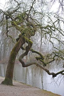 Englischer Garten... 147 von loewenherz-artwork