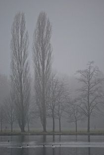 Englischer Garten... 124 von loewenherz-artwork