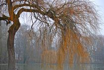 Englischer Garten... 114 von loewenherz-artwork