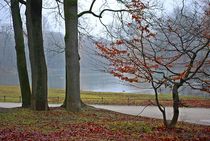 Englischer Garten... 108 von loewenherz-artwork