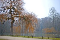 Englischer Garten... 139 by loewenherz-artwork